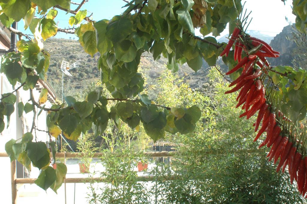 Cortijo Los Cahorros Sierra Nevada Monachil Dış mekan fotoğraf