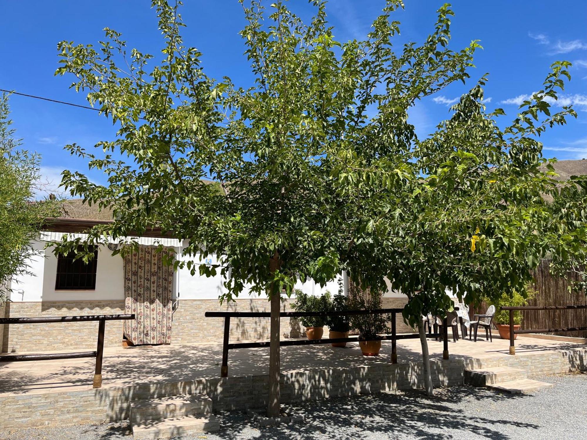 Cortijo Los Cahorros Sierra Nevada Monachil Dış mekan fotoğraf